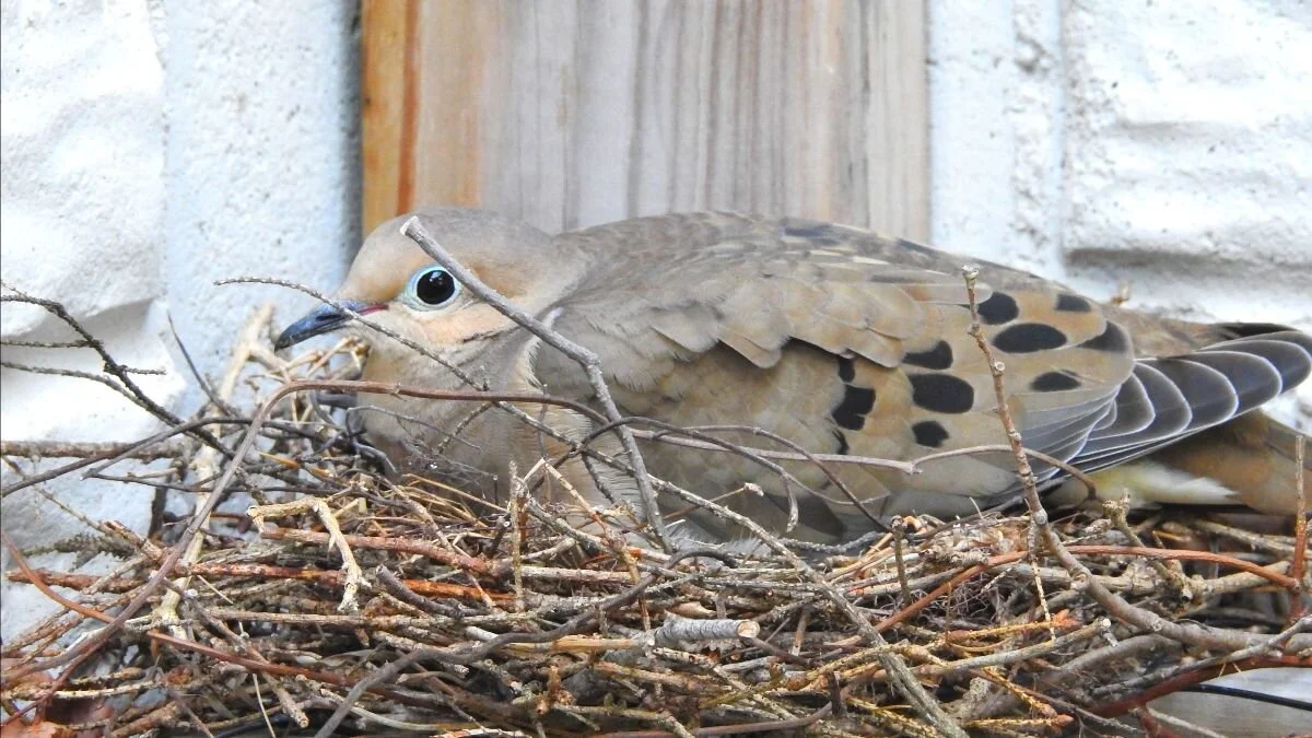 Restoring Our Energy Bank Accounts