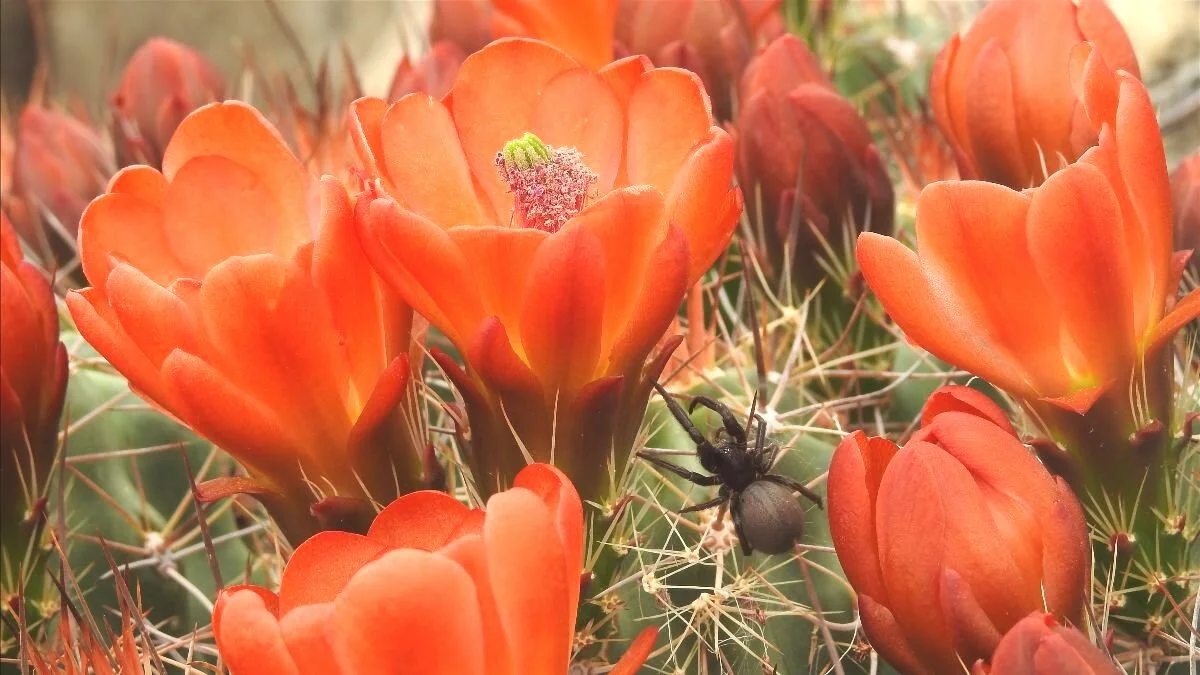 What's better than being right?