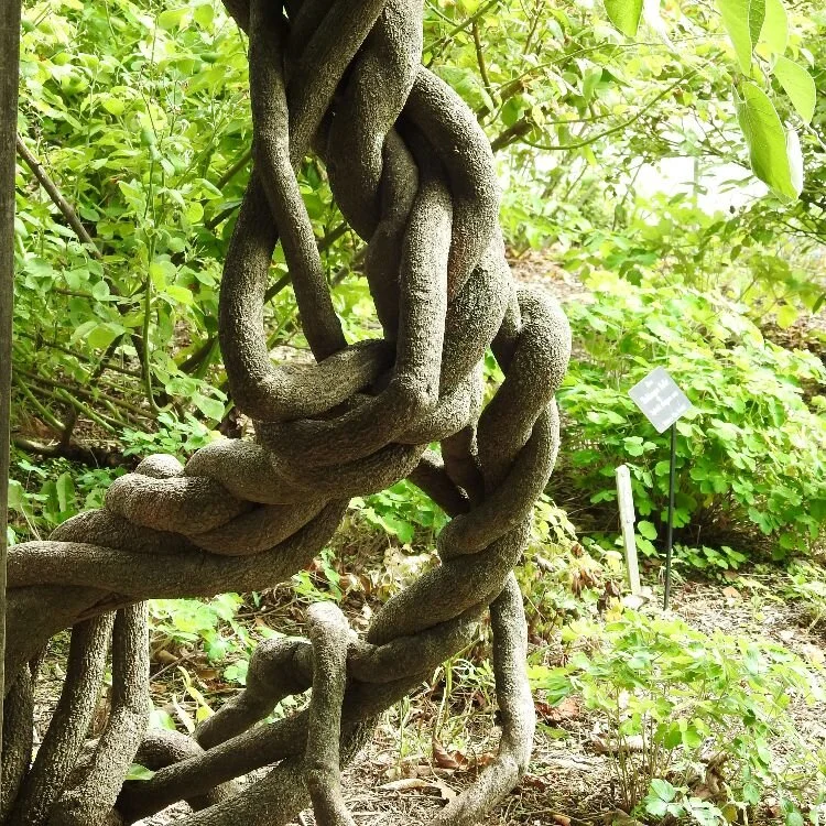 Resolving Impossibly Difficult Withdrawals