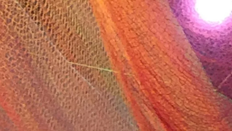 On Patients' Spiritual and Paranormal Experiences