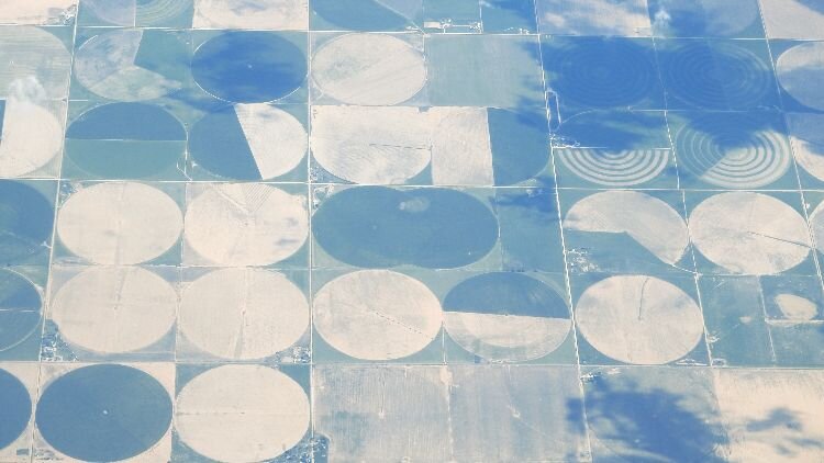 From Understanding to Compassion