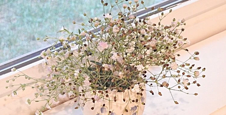 Perfection's Hiding Place