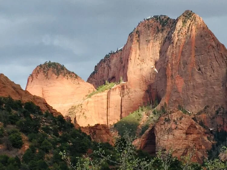 Which is More Powerful: Functional or Energy Medicine?