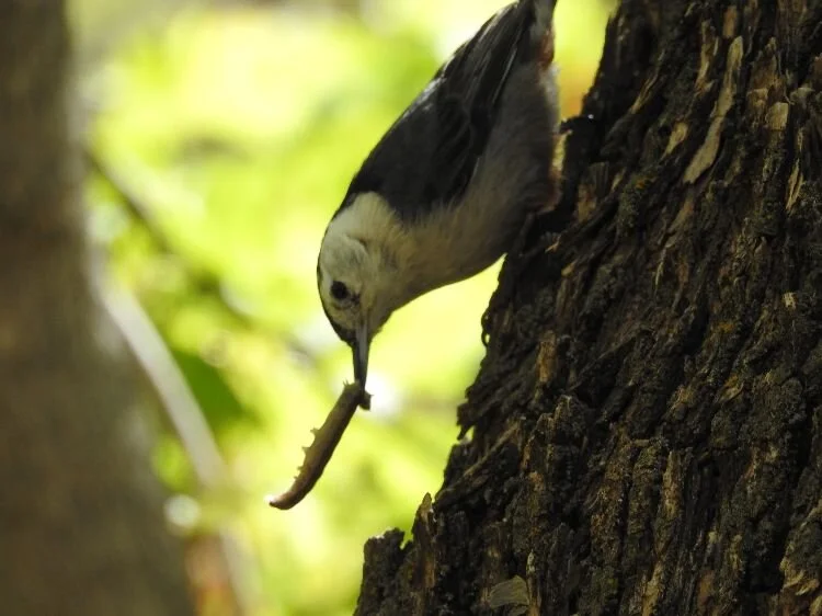 The Ultimate Investment: More meaningful than money!