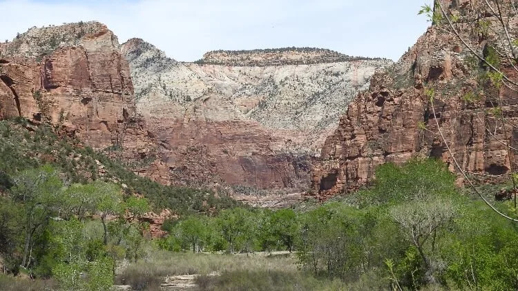 Improving the Standard of Care