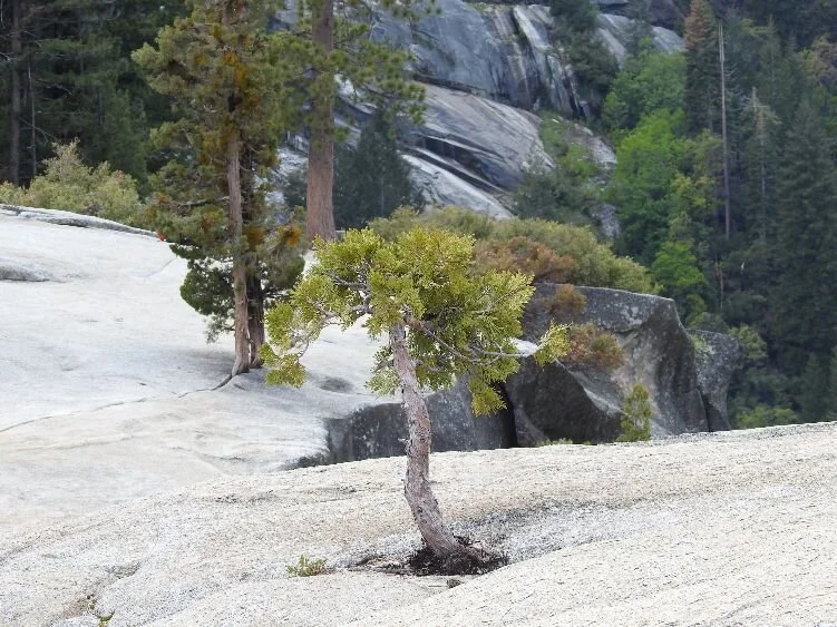 Top Three Ways to Transform Hardships into Advantages