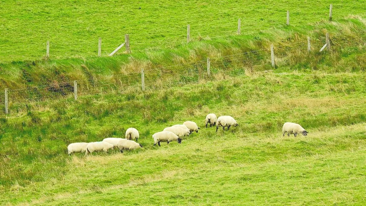 Returning to Life-affirming Moments in Childhood