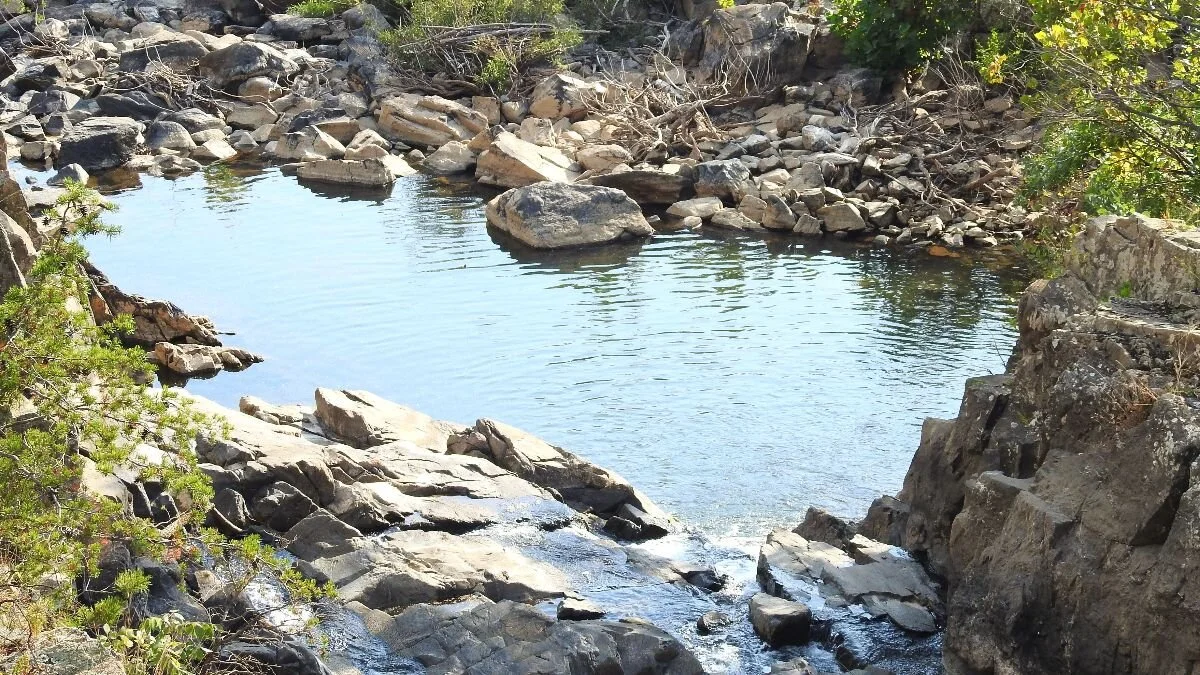 At the Airport: Signs of a Changing America