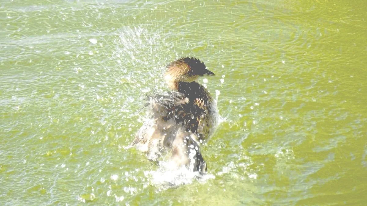 What to do When Medications and Supplements Don't Help Anymore