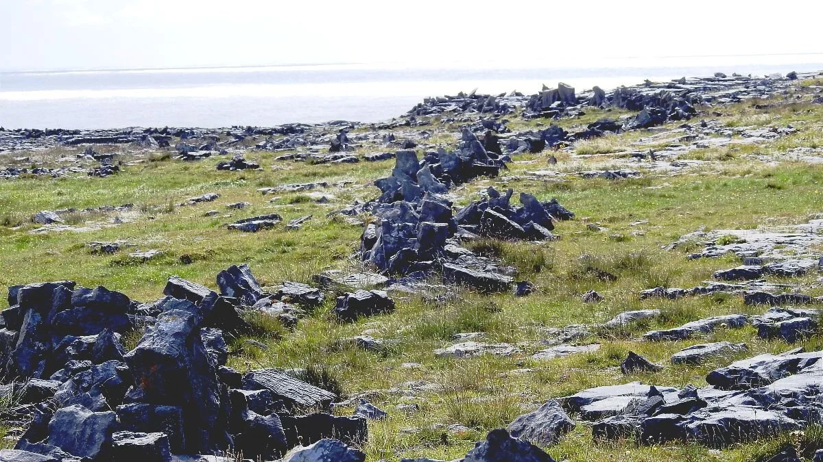 Believing in Your Dreams and  Investing in Yourself