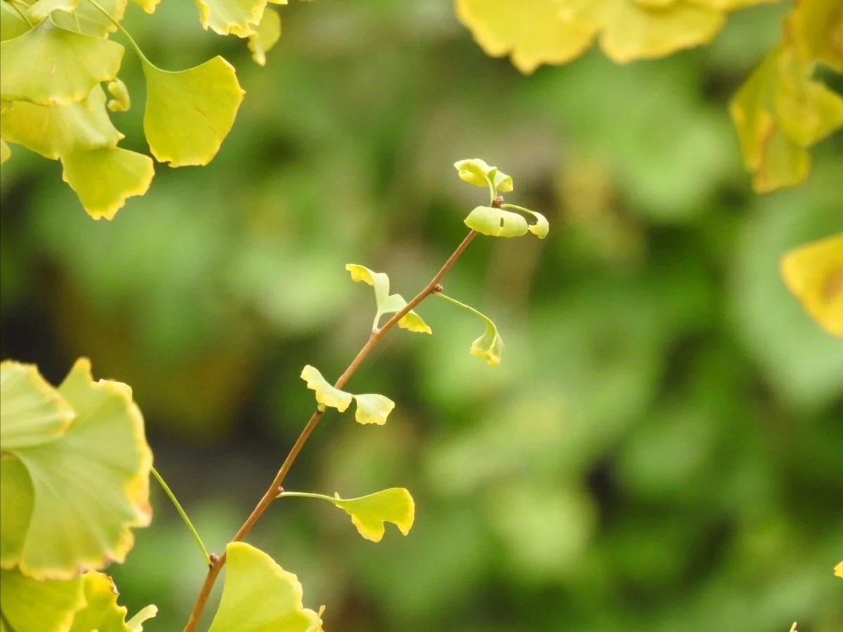 Just Because It's Difficult Doesn't Mean It's Not Worth Doing