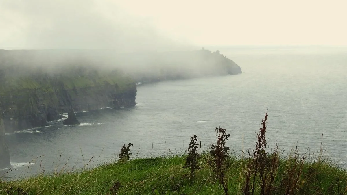 What Negative Reactions to N-Acetylcysteine (NAC) Can Teach Us About Withdrawal