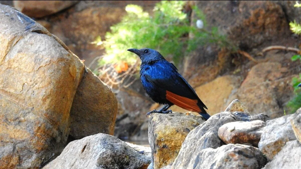 A Holistic Perspective on ADHD and How to Treat It