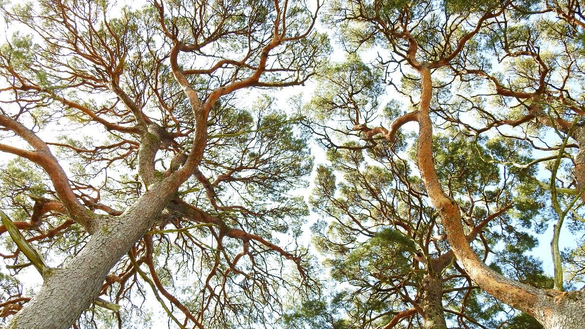 Giving Thanks to the Heroes and Heroines Who Shape and Guide Us