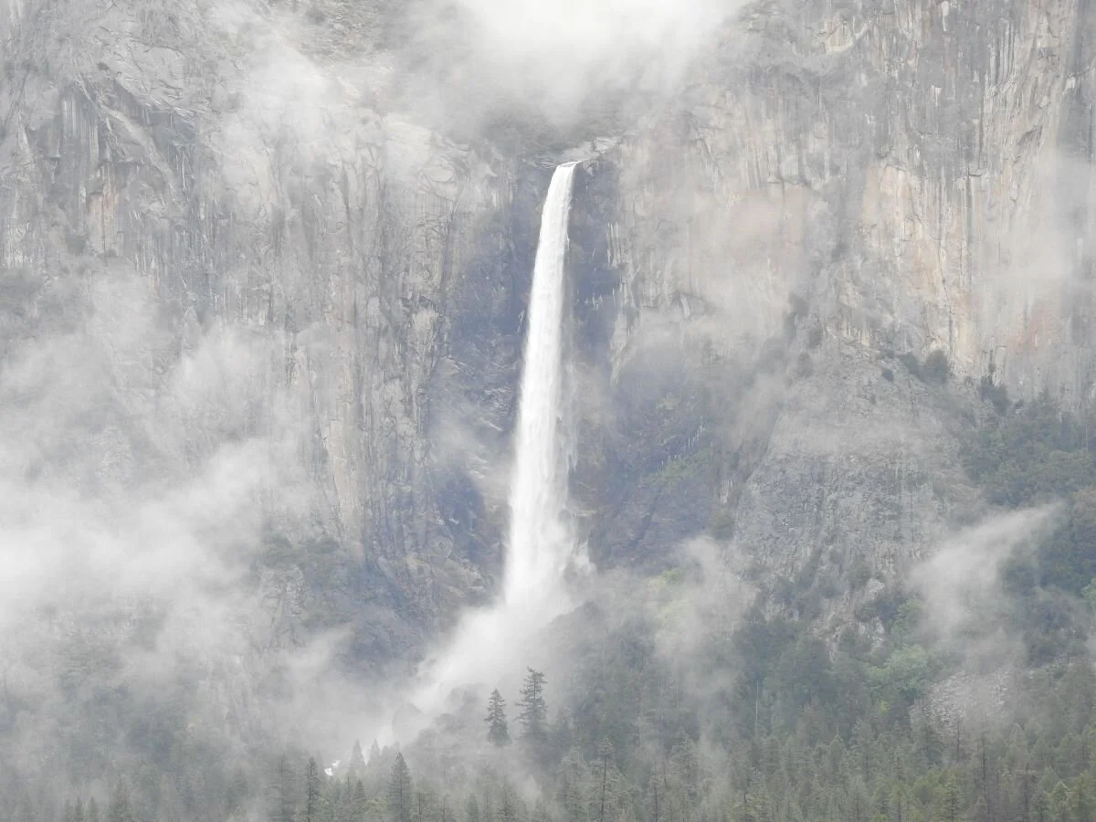 A Simple, Effective, and Free Way to Lower Psychiatric Medications