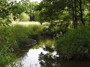 Learn the Emotional Freedom Technique