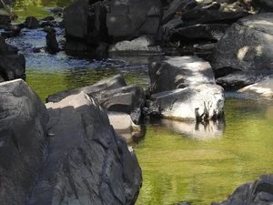 Obtaining Your Heart's Desire and the Meaning of Cinderella's Glass Slipper