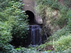 At the Center of Healing is...