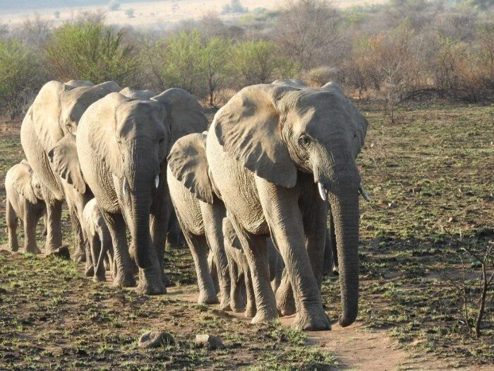 Your Quantum Building Blocks of Life