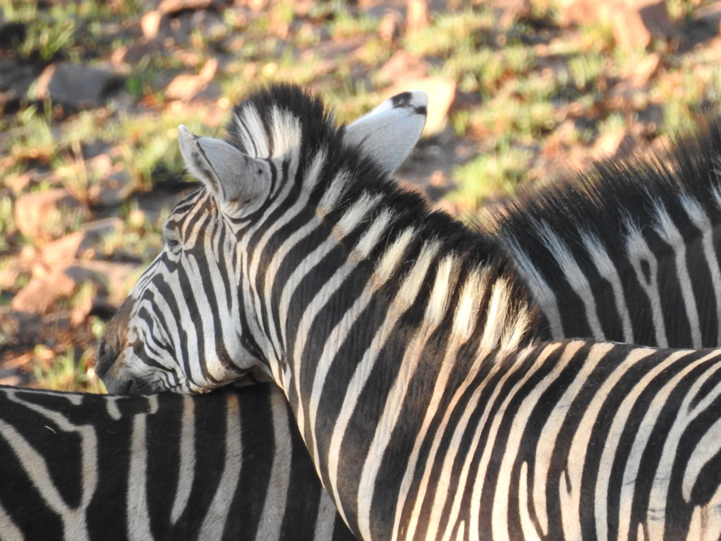 Importance&nbsp;of the Invisible: Living a Passionate Life