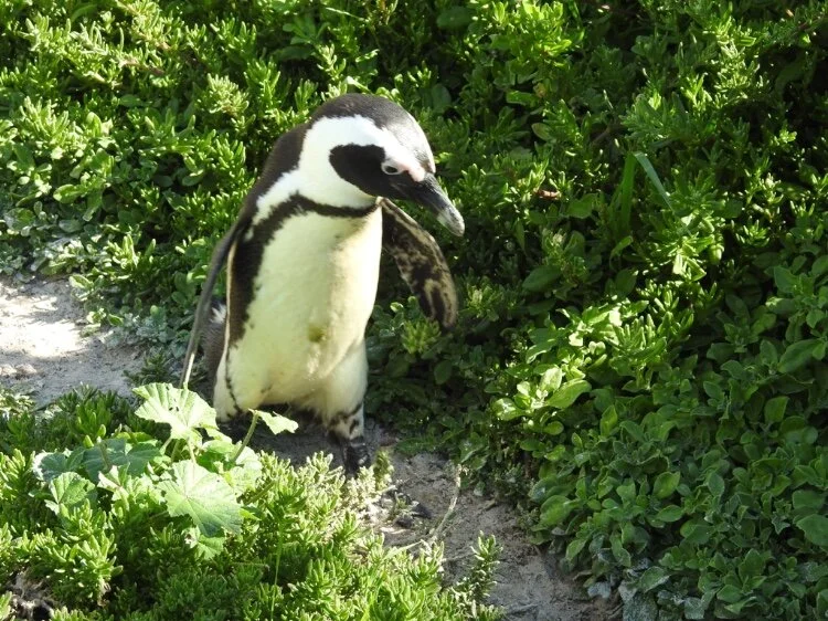 The Untold Story Behind Being Late