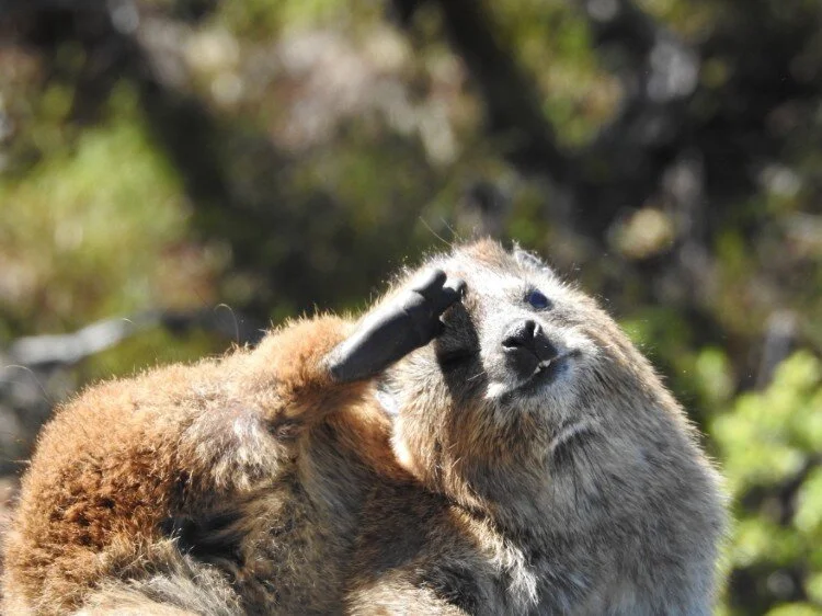 Measuring Shifts From Energy Healing