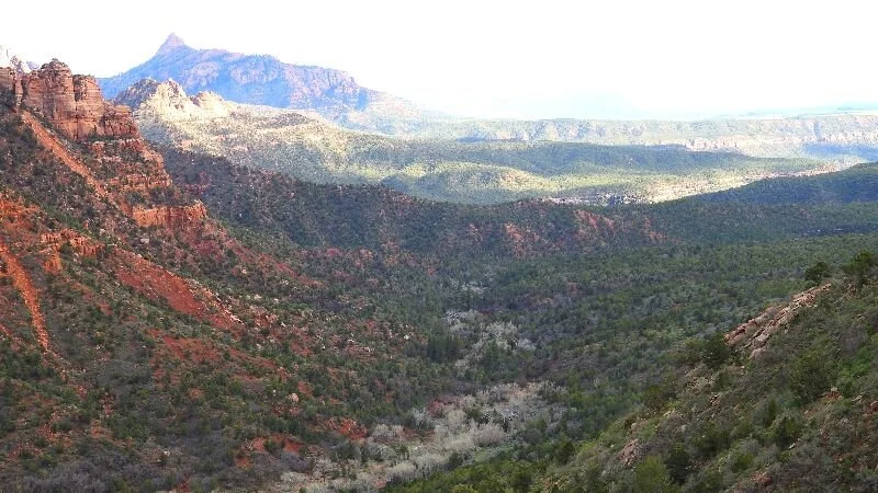 Wherever You Go There You Are