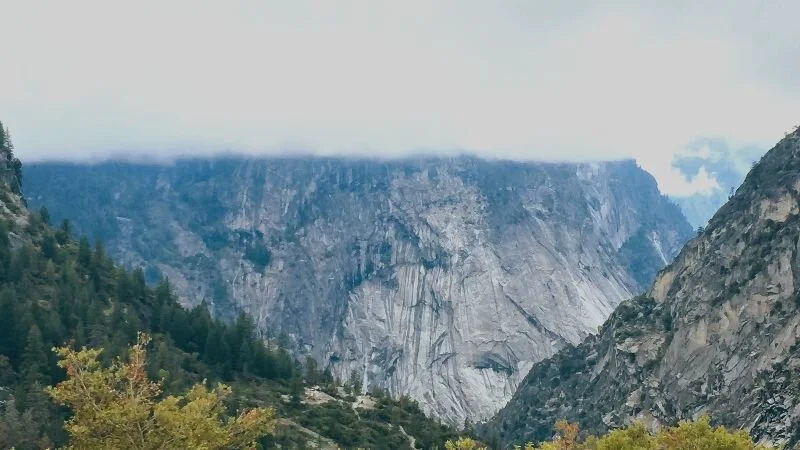 What My Practice Has Taught Me About Patience