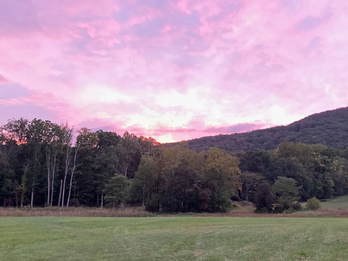 On Goodbyes and Hellos