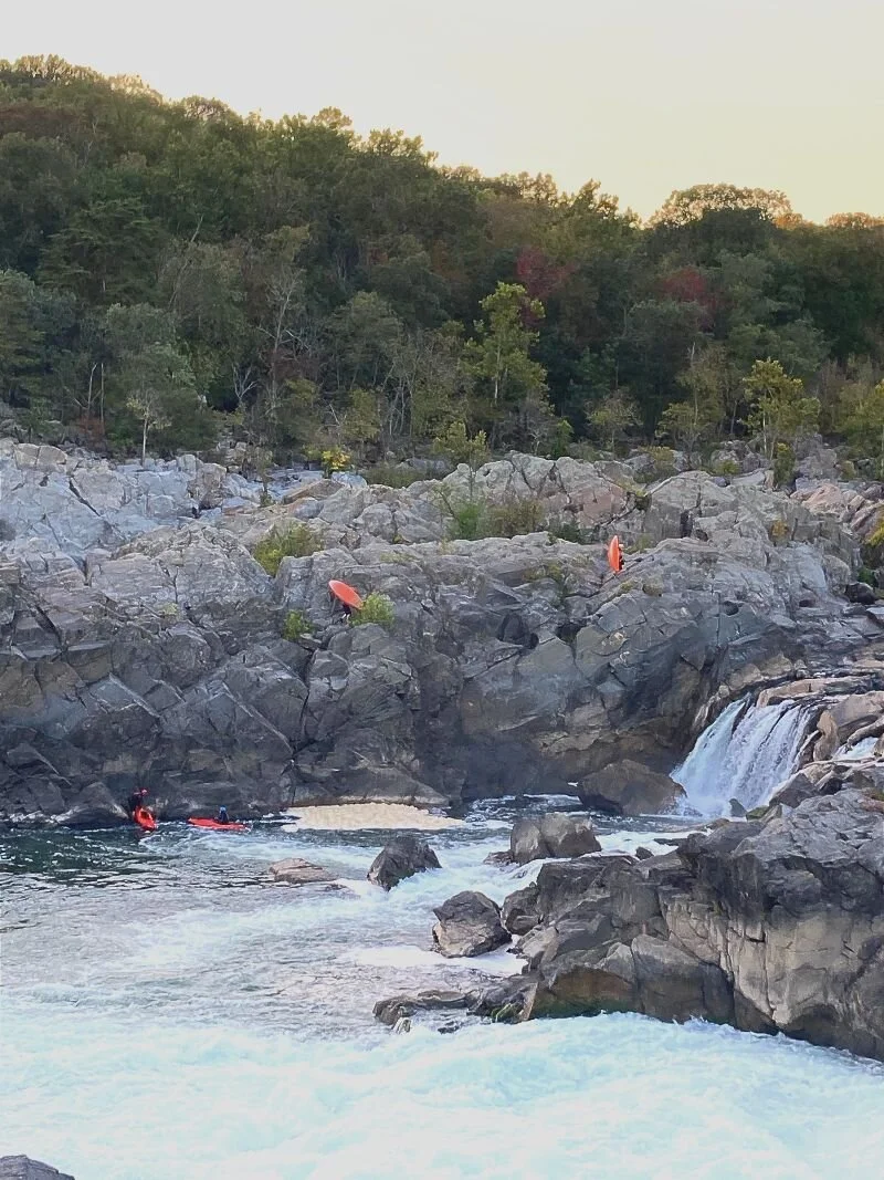 Why Antidepressants "Stop Working"