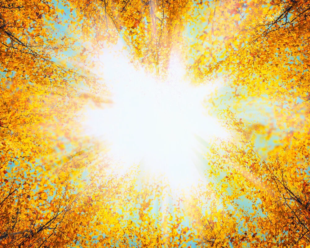 An Optimist of Delusional Proportions