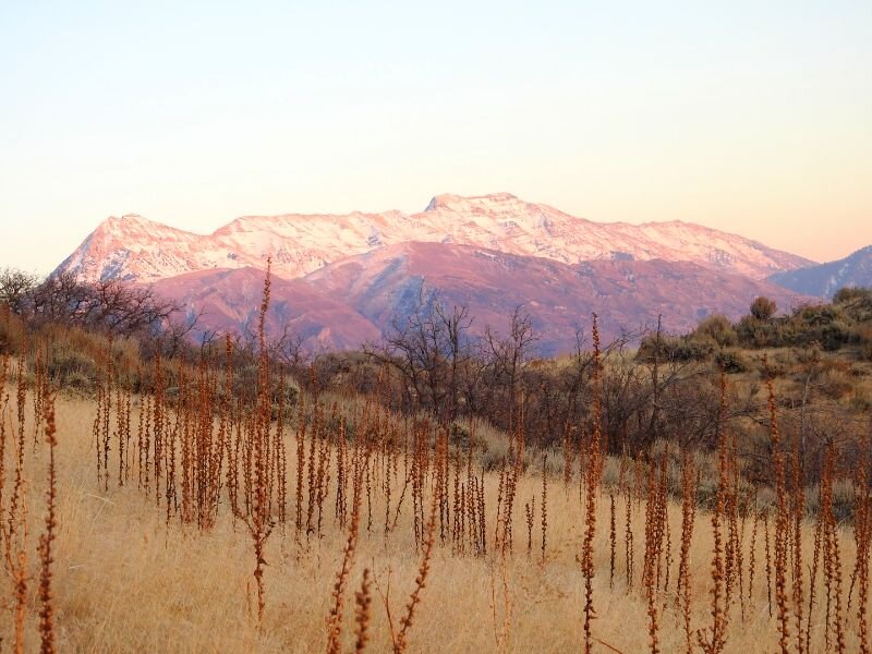 How Slow Does a Withdrawal Need to Go?