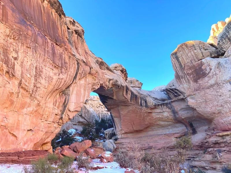 On Nature or Nurture?