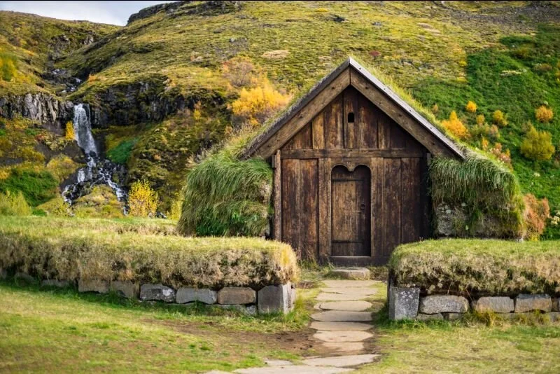 Energy Fields and the Ability to Predict the Future