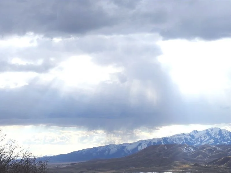 Liz's Story: Holistic Healing from Bipolar Disorder and Alcohol Abuse