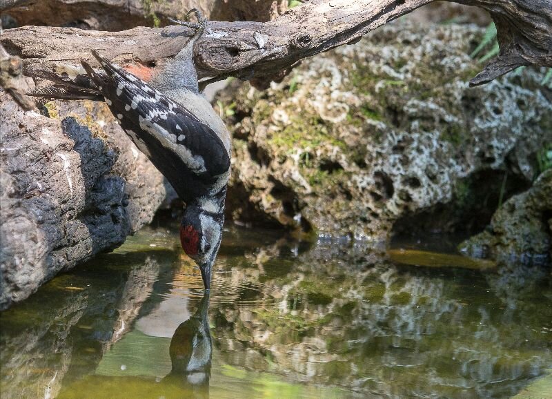 Four Reasons Why People Fight