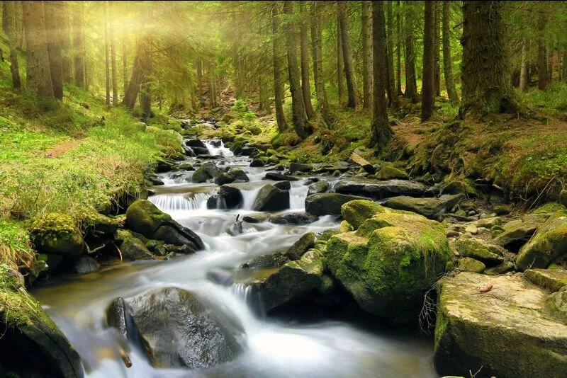 Following the Twists and Turns of Change During Treatment