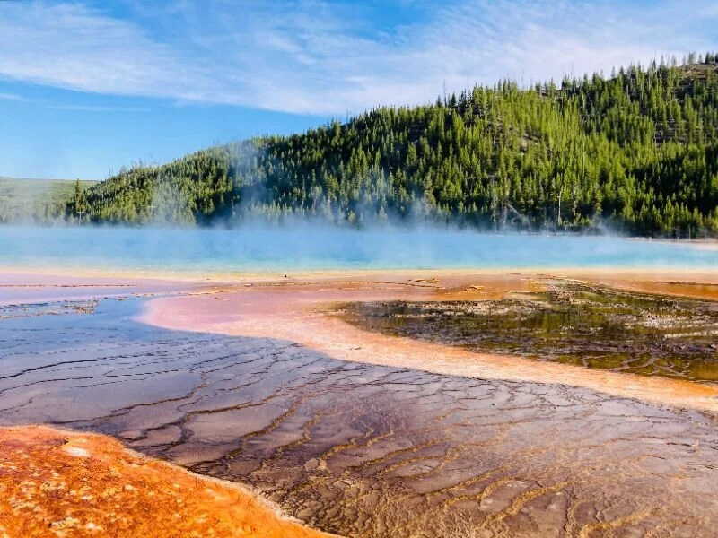 Creating Requires Courage and Curiosity