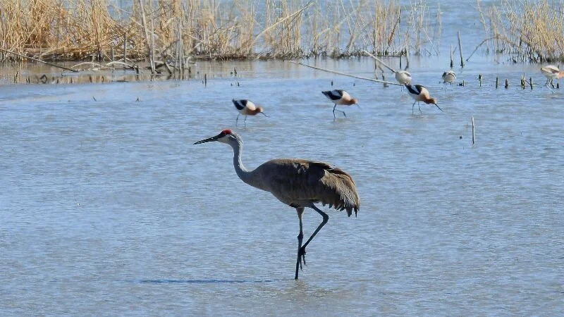 Connecting to Abundance