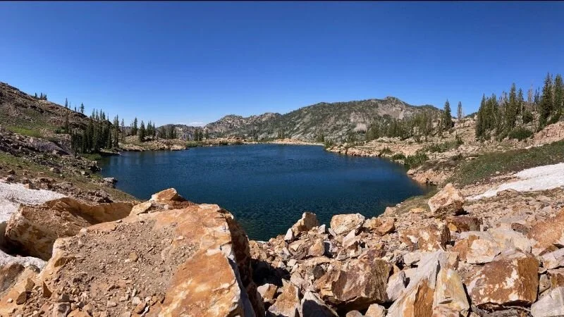 Conformity: the Appeal to Conventional Clinicians