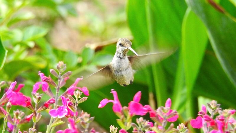 Midair: Motion in Stillness