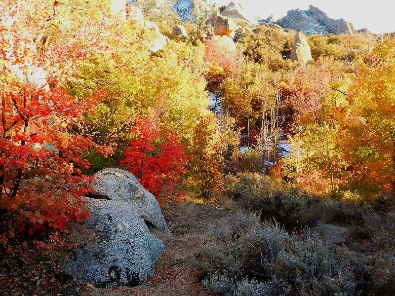 Hypnosis for the Holidays