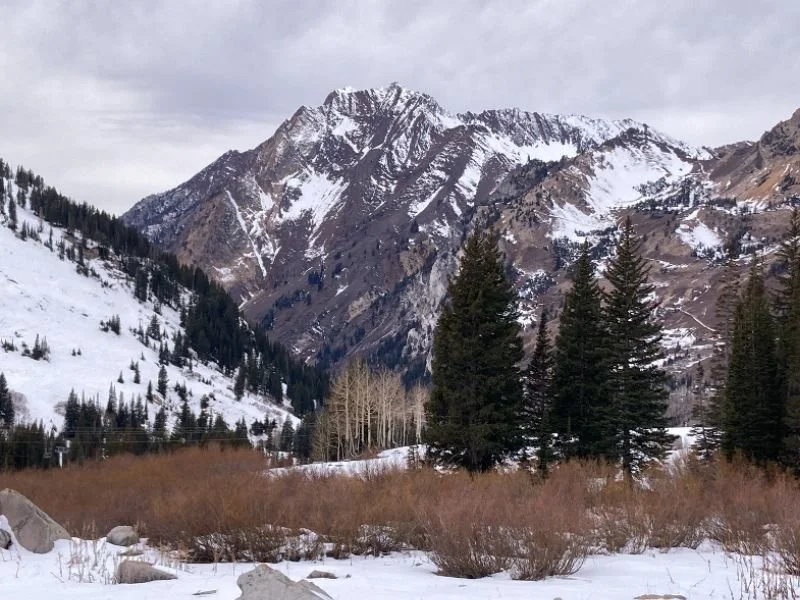 Enhancing the Empower Energy Technique (EET)