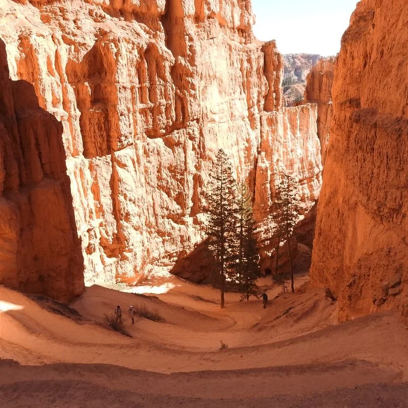 The Top 5 Mistakes During Medication Withdrawal