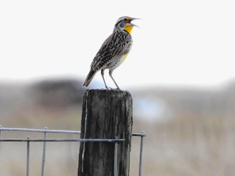 Three Interventions That I Don't Use Anymore