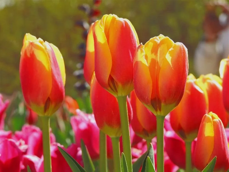 Breaking Through Unexpected Withdrawal Barriers