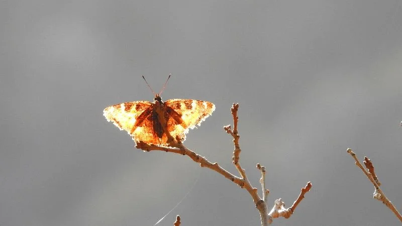 Remember Your Different Sides of Being