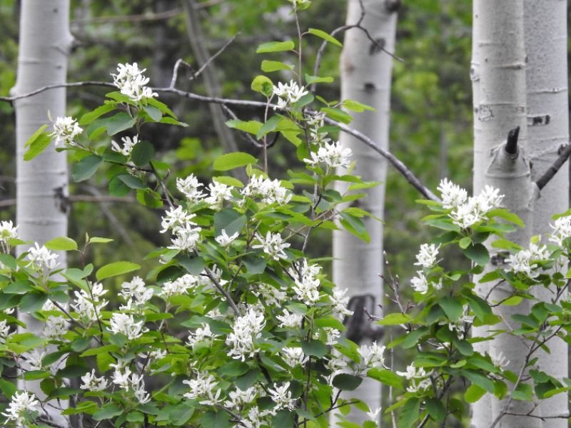 Introducing New Paradigms in Psychiatry