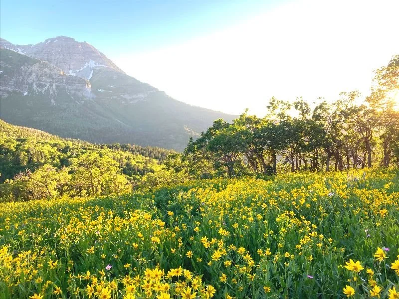 Duality: The Forgotten Principle of Fulfillment