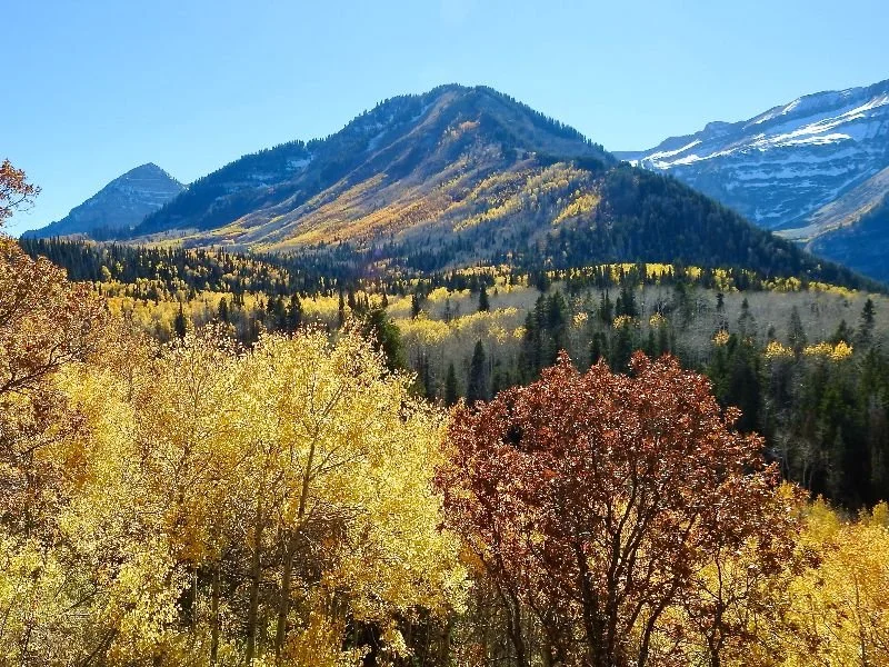 How Well is Empower Energy Technique (EET) Working for Other Clinicians?